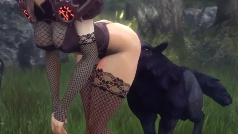 Assumi Dog Pack - Noname55
