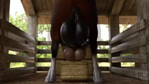 Horse balls deep