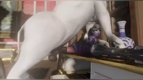Horse video 5