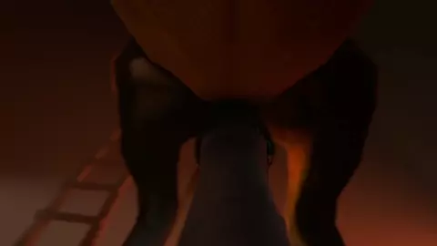 Horse vídeo 15