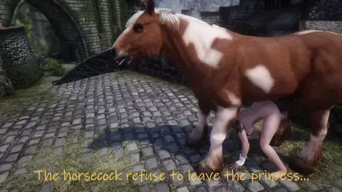 Horse vídeo 11