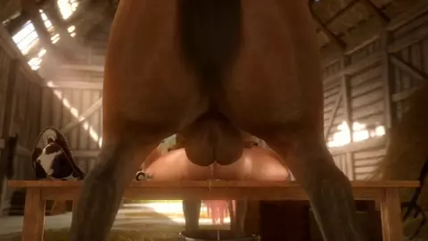Horse vídeo 9