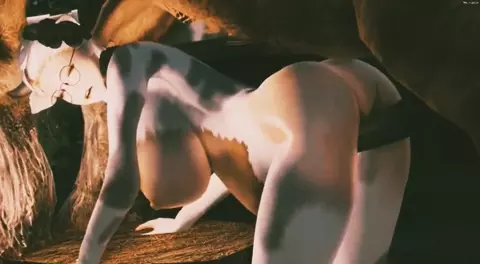 Horse video 28