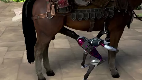 Horse video 32