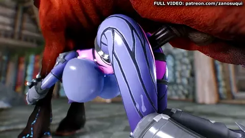 Horse video 93