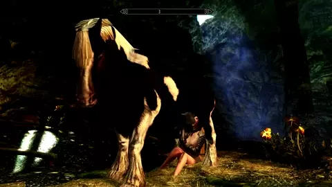 Horse video 79