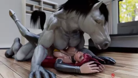 Horse video 119