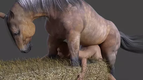 Horse Video - 172