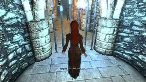 Skyrim Thief Mod Playthrough - Part 20