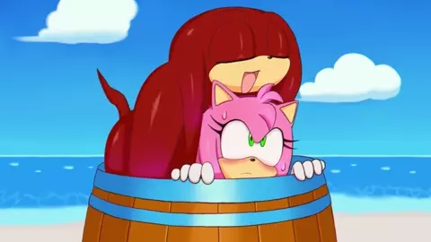 Knuckles & Amy stuck [Excito]