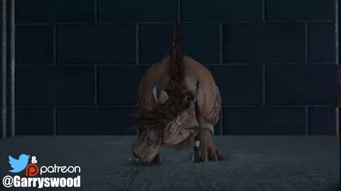 RED XIII x Tifa