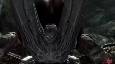 Black and Wight