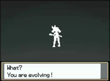 May is evolving