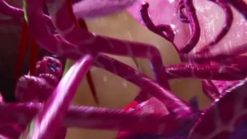 Tentacle Hell Shermie