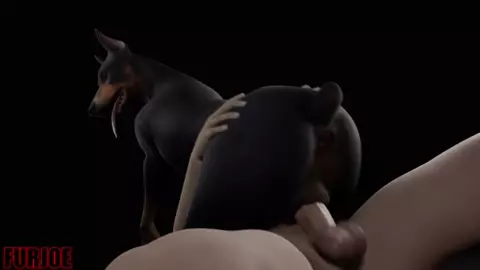 Dog sex | Furjoe