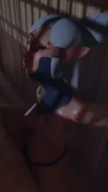 Paya pole pumped