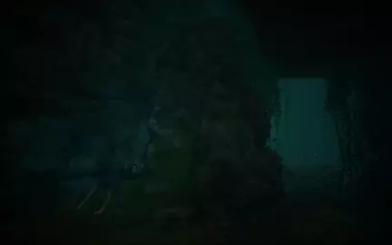 Wild Stories — ep1