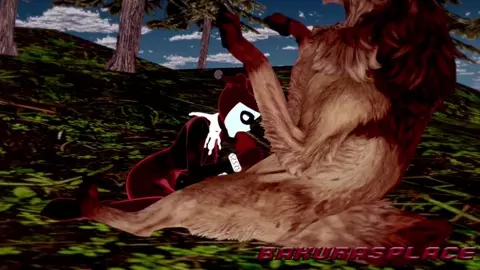 Harley and her wolf