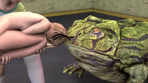 Feed the Frog