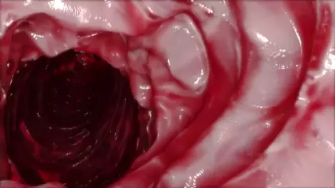 BIOD9-VRFIGHT-2