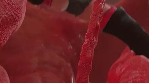 Etna in the hive