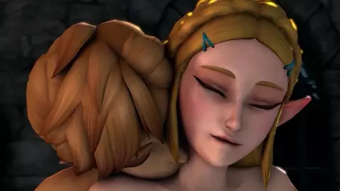 Zelda (BOTW) Compilation