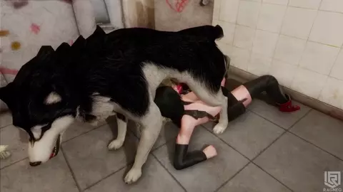 All Dogs Go To 7th Heaven