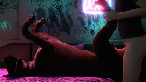 Great dane bitch 2