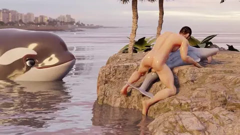 man and dolphin