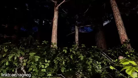Crash Landing on Goblins | Trailer