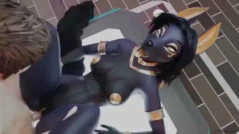 Anubis YMV