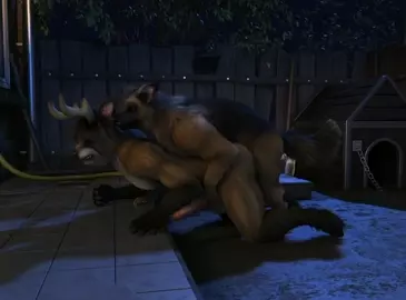 Comet And Dog [H0rs3]