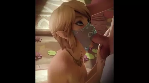 The Legend Of Zelda