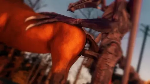 Ridley fucks horse in the open