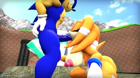 Sonic and Tikal