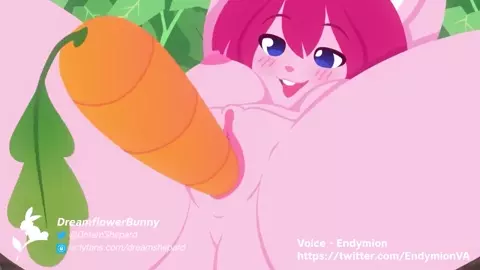 DreamFlowerBunny Compilation