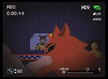 The night with foxy