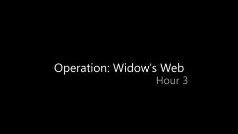 Black Widow Interrogatory