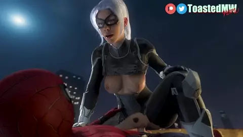 Black cat riding spiderman