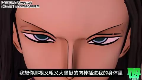 Nami and Robin's sex life (Chinese translation)
