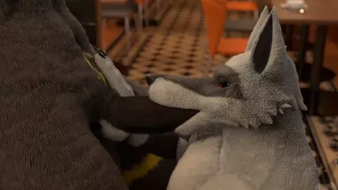 IDENTITY CRISIS
