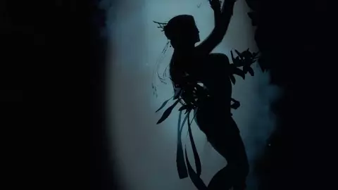 spider spirit