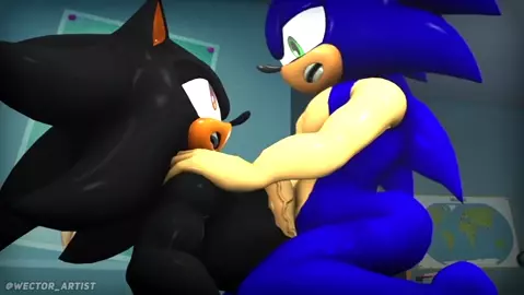 Sonic Riding Shadow