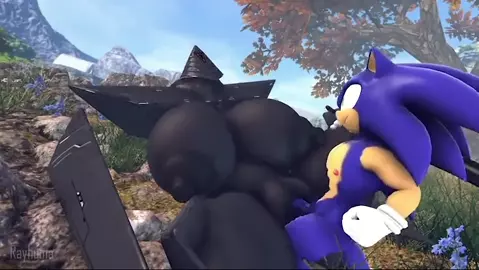 Sonic Fucking Ninja