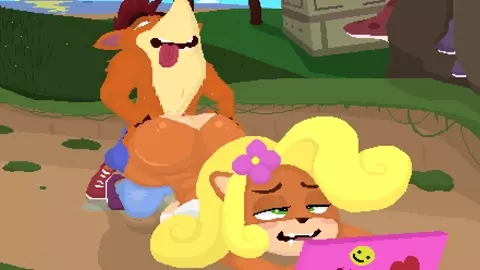 Crash's Reward