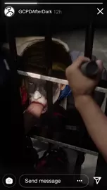 Two cops from the GCPD pay Harley a "special visit." [Shadylewds]