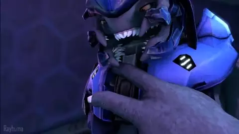 Shy sangheili BF