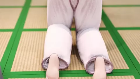 Aikido Queen [AmateurThrowaway]