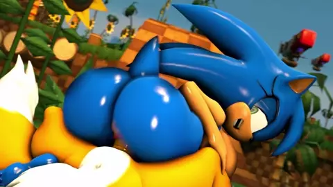 Sonica Riding Tails