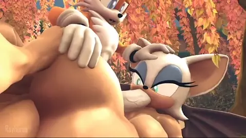 Tails and Rouge Enjoying Each other